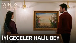 Zeynep, Halil'in nabzını yükseltiyor | Rüzgarlı Tepe 36. Bölüm