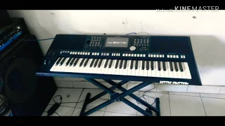 Pipe organ Tutti on yamaha psr s975 with big reverb