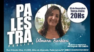 Palestra   O alcoolismo na visão da Doutrina Espírita   Ulmara Barbieri   1011