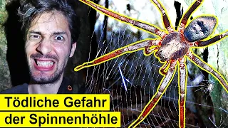 Bin nachts in eine Höhle voller Spinnen gekrochen! Das ist passiert