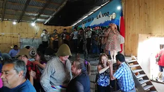Caituy de Achao en Feria Campesina Auchac comuna de Quellón 2020