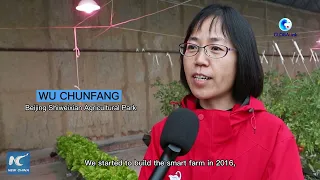 GLOBALink | Smart farming in Beijing's agricultural demonstration parks