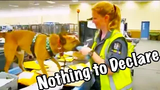 Nothing To Declare NZ S06E06 Customs Border Patrol Airport