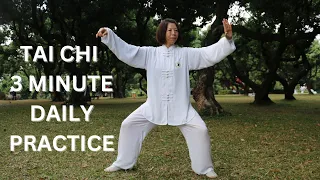 Tai Chi 3-minute Daily Practice - Feel the Qi Energy Flow