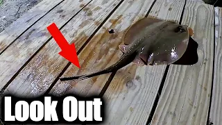 Pier Fishing at Night - Easy Saltwater Fishing with Shrimp