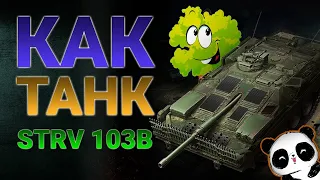 Как танк  Strv 103B!? Куст с дпмом и винтовкой=)