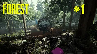 The Forest #1 Выживание на острове каннибалов