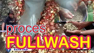 CARA PROSES FULLWASH | proses basah sederhana pada pengolahan kopi secara manual tradisional