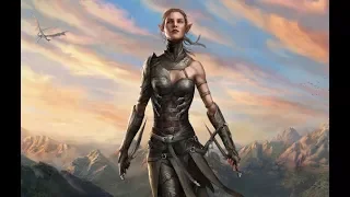 Being a female in Divinity: original sin II