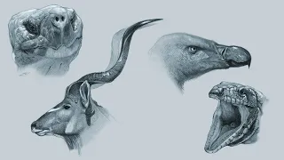 Level Up Your Art: Learn Creature Skin Drawing Techniques