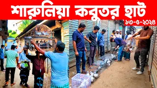 শারুলিয়া কবুতর হাট ১৩-৫-২০২৪ | kobutor hat 2024 | pigeon market in bangladesh | Saroliya kobutor hat