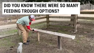 Comparing Goat and Sheep Feeding Trough Options