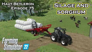 MAKING SILAGE AND HARVESTING OUR SORGHUM - FS22 - Haut Beyleron - Let's Play Episode 75