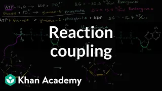 Reaction coupling to create glucose 6 phosphate | Biology | Khan Academy