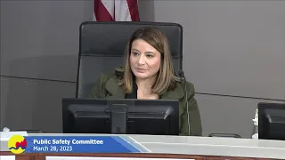 Public Safety Committee - March 28, 2023