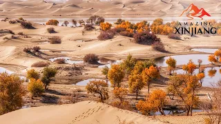 Watch: Crossing China's largest desert - the Taklamakan Desert in #AmazingXinjiang 穿越塔克拉玛干沙漠