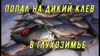 ПОПАЛ НА ДИКИЙ КЛЕВ КРУПНОЙ СОРОГИ И ЧЕБАКА. Зимняя рыбалка. Зимняя рыбалка в глухозимье феврале