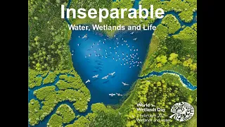 Inseparable: Water, Wetlands, and Life - Webinar Honoring the Laguna de Santa Rosa