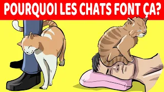 15 Comportements De Chat Les Plus Étranges Expliqués