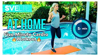 5 Minute Cardio No Jumping For Women - Svelte Training