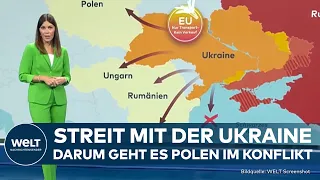 STREIT MIT UKRAINE: Darum geht es beim Konflikt mit Polen - und das leistet Warschau I WELT Analyse