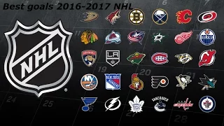 Best goals from the 2016-2017 NHL Season (HD)