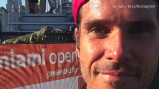 Iguana Makes A Surprise Appearance At A Tennis Match