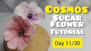 DAY 11 | COSMOS FLOWER | SUGAR FLOWER TUTORIAL | VERSAPASTE