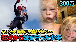 【感動実話】狂犬から妹を守った6歳少年のためにアベンジャーズ俳優たちがした行動が話題に・・・