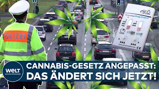 CANNABIS-GESETZ ANGEPASST: Neuer THC-Grenzwert im Straßenverkehr und Regeln für Social-Clubs