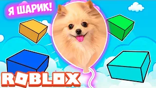 ПРОХОЖУ ОББИ НО Я СТАЛА ШАРИКОМ ! ВЕСЕЛЫЙ ОББИ В РОБЛОКС |  Obby But You're a Bouncy Ball ROBLOX