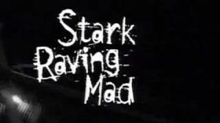 Stark Raving Mad theme song