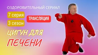 💥 ЦИГУН ДЛЯ ПЕЧЕНИ И ЖЕЛЧНОГО ПУЗЫРЯ | 7 серия. 3 сезон. Оздоровительный сериал Виктора Стерликова