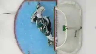 Save of the Year 2009