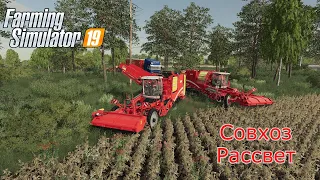 Farming Simulator 19 | Рассвет | уборка картофеля!