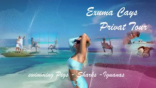 Exuma Cays | swimming Pigs | Sharks | Sandbar | Sandals Emerald Bay 2019 - GoPro | DJI Mavic Zoom