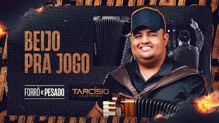 BEIJO PRA JOGO - Tarcísio do Acordeon (CD Forró Pesado)