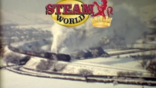 Steam World Archive Volume 37 - The Derek Phillips Collection Central & Southern England ADVERT