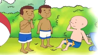 Caillou and the Summer Injuries | Caillou Cartoon