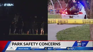 Concerns over safety at Indianapolis-area parks