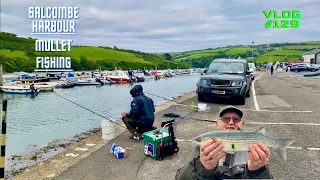 Mullet Fishing First!| I’ve NEVER SEEN THIS BEFORE | Salcombe Harbour | Vlog#129