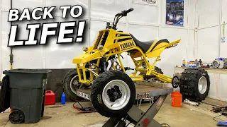 Bringing a dead Yamaha Banshee to life: Drag Race Rebuild!