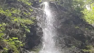 Wildromantische LOTENBACHKLAMM / Wutachschluchten im Schwarzwald🏞