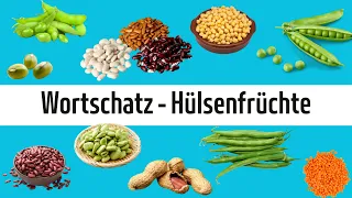 Learn German - Vocabulary: Pulses