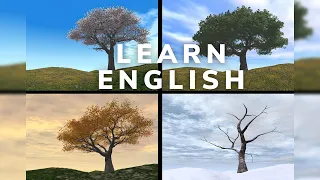 The 4 Seasons | EASY English lesson (Comprehensible Input)