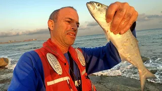 Bluefish in Ultralight shore jigging 🐟🎣 EN Subtitles 4K fishing video