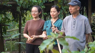 My family and the farm harvest sapodillas and garlic to sell at the market