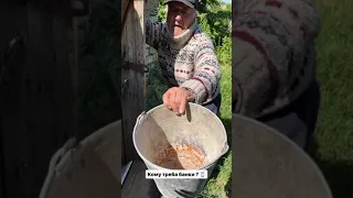 Дід Толя - Контент який ви всі чекали:)