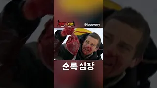 베어는 순록을 생으로 뜯어