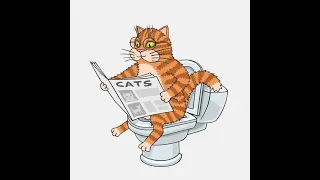 Автоматический кошачий туалет. Расположение сопла.